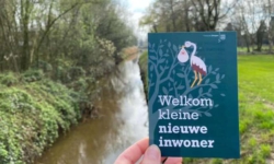 Tweede geboorteboom geplant in Dongen