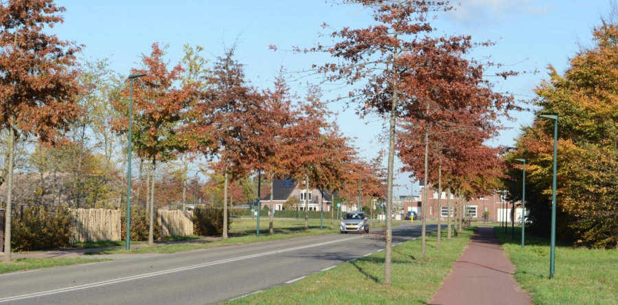 Nieuw asfalt op Beljaartlaan Dongen moet geluidsoverlast verminderen