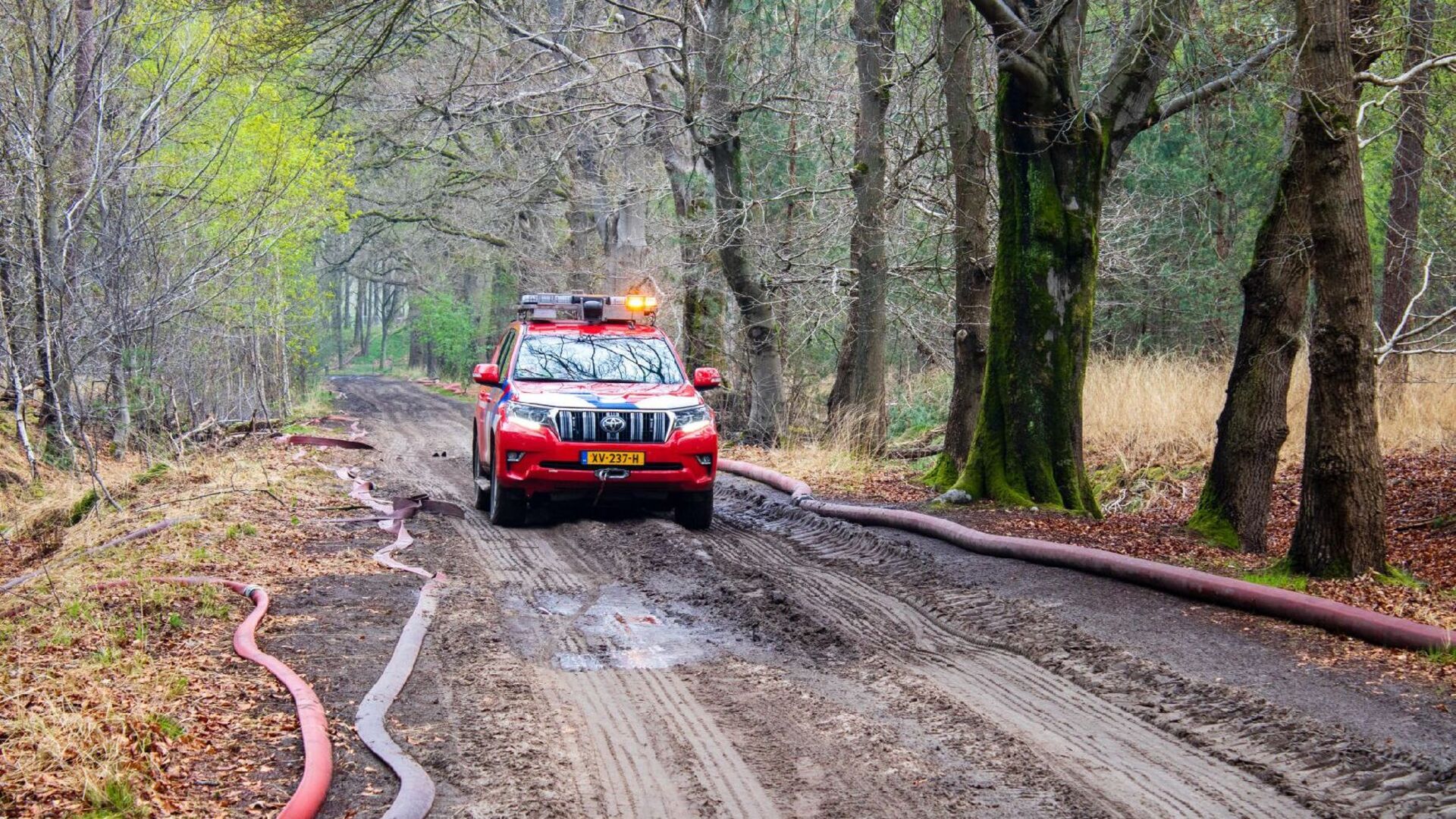 Politie zoekt getuigen van bosbrand aan de Kanaalweg in Drunen