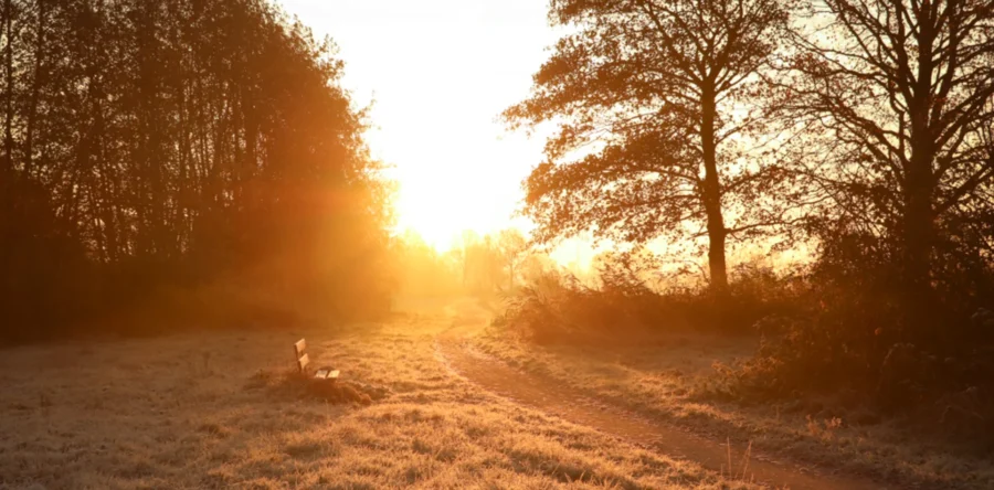 Dongen ecologische verbindingszone