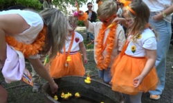 Koningsdag reportages op Langstraat TV