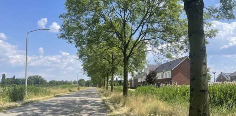 Gemeente Heusden gaat Vijfhoevenlaan herinrichten