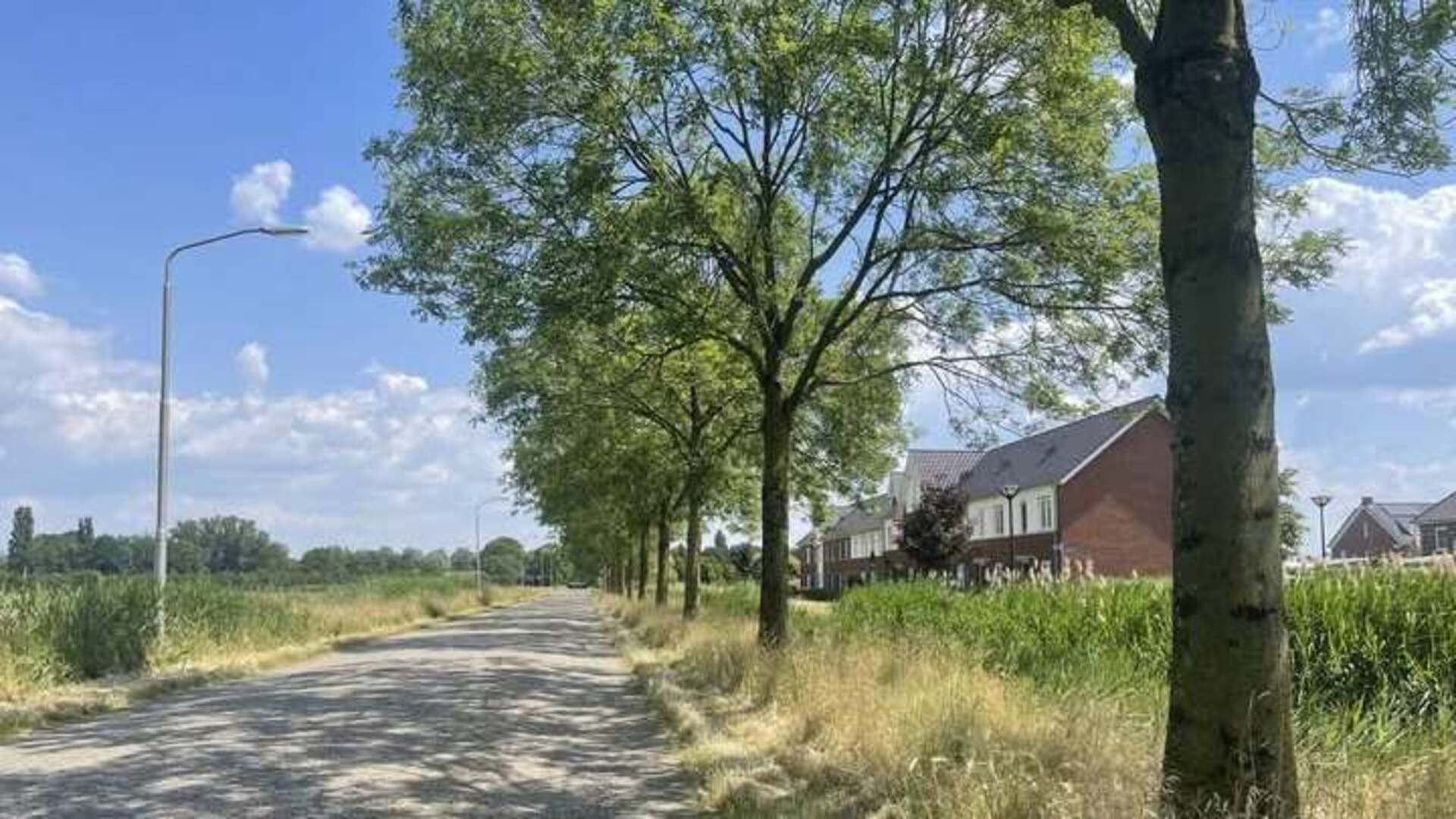 Gemeente Heusden gaat Vijfhoevenlaan herinrichten