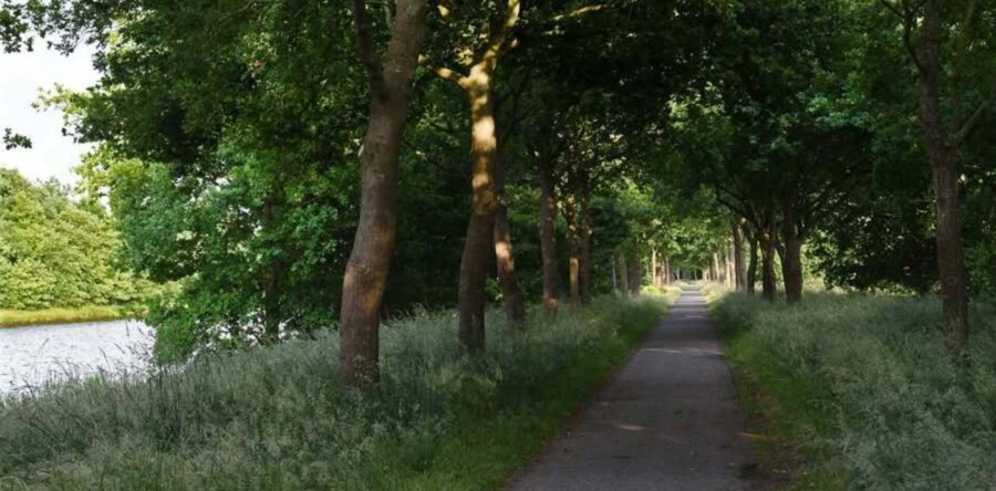 Ontwerp snelfietsroute F629 door onder meer Dongen vastgesteld