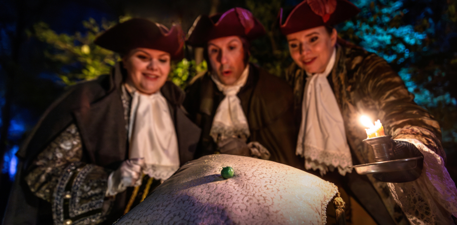 Prinses op de Erwt slaapt vanaf 14 mei in de Efteling