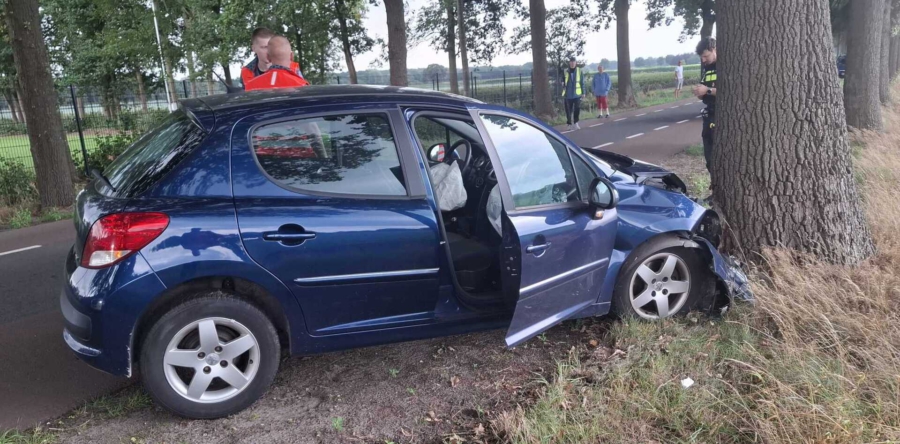 Auto knalt tegen boom op Kegelaar in Kaatsheuvel