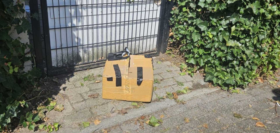 Doos bij asiel Waalwijk gevonden waar waarschijnlijk kittens inzaten