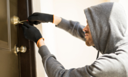Politie Waalwijk op zoek naar verdachten woninginbraak Puccinistraat