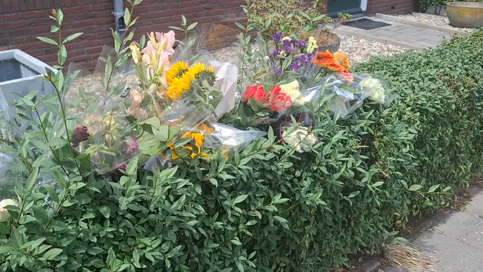 Zee aan steunbetuigingen voor overleden Jessica Brants (video)