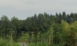 Zwemplas Hof van Capelle weer veilig, negatief zwemadvies ingetrokken