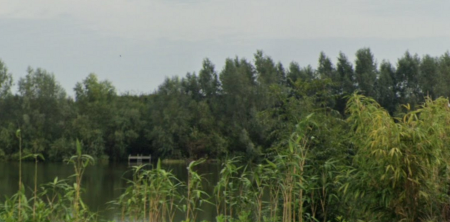 Opnieuw negatief zwemadvies voor zwemplas Hof van Capelle