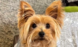 Help levens redden met een beetje aandacht