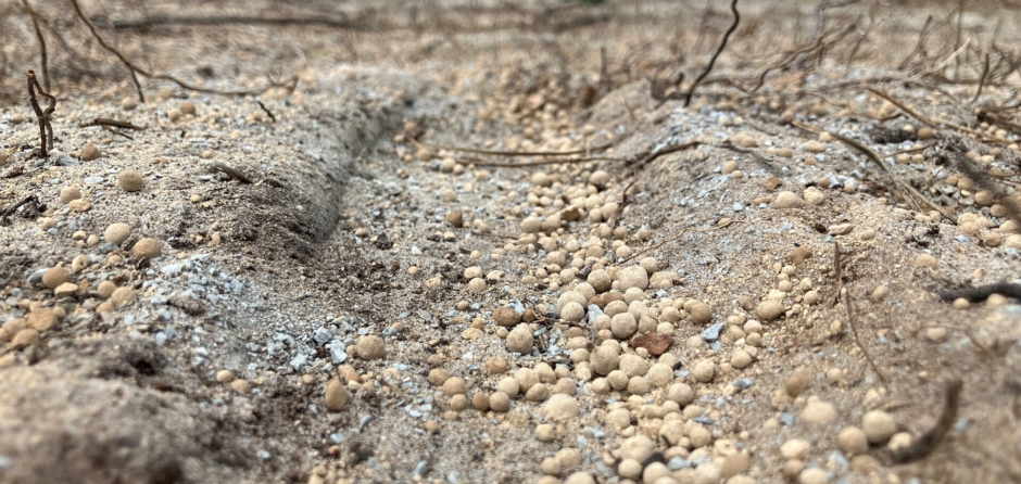 Bodemleven in duinen functioneert niet goed: maatregelen getroffen