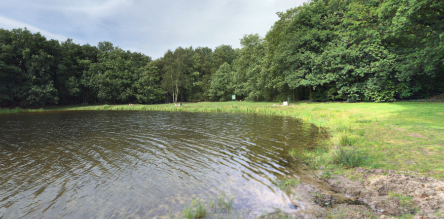 Negatief zwemadvies voor Nieuwkuijkse Wiel wegens blauwalg