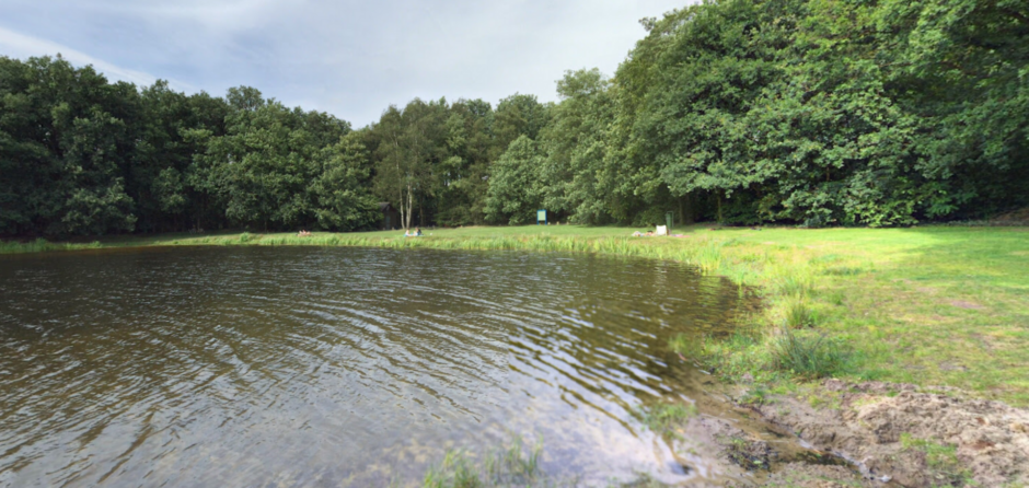 Negatief zwemadvies voor Nieuwkuijkse Wiel wegens blauwalg