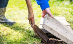Tuin vergroenen in Waalwijk? De tegeltaxi komt opnieuw langs