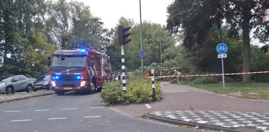 Omgevallen boom blokkeert fietspad in Waalwijk