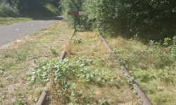 Samen Waalwijk zet zich in voor onderhoud van Halve Zolenlijn