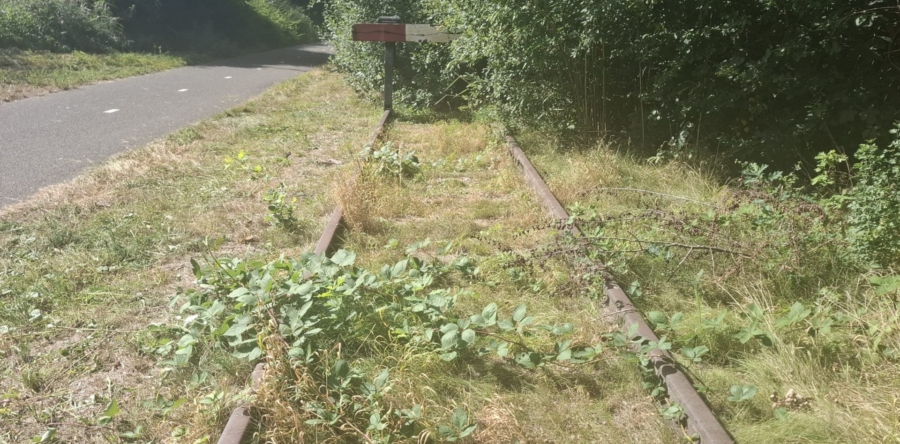 Samen Waalwijk zet zich in voor onderhoud van Halve Zolenlijn