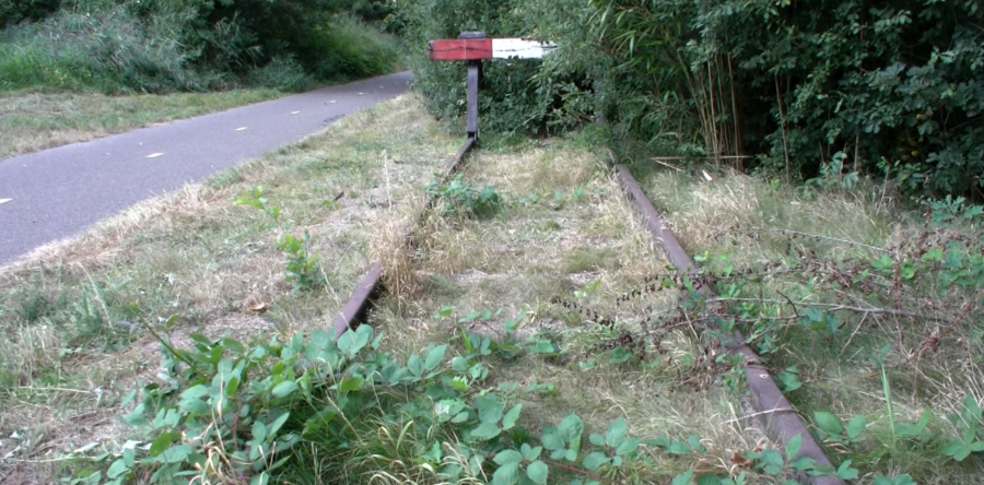 Samen Waalwijk zet zich in voor behoud Halve Zolenlijntje (Video)
