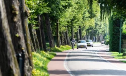 Gemeente Dongen vraagt input aan bewoners over verkeersveiligheid