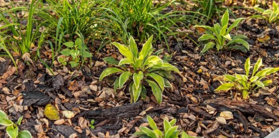 Gemeente Loon op Zand onderhoudt volop groen in laatste kwartaal 2025