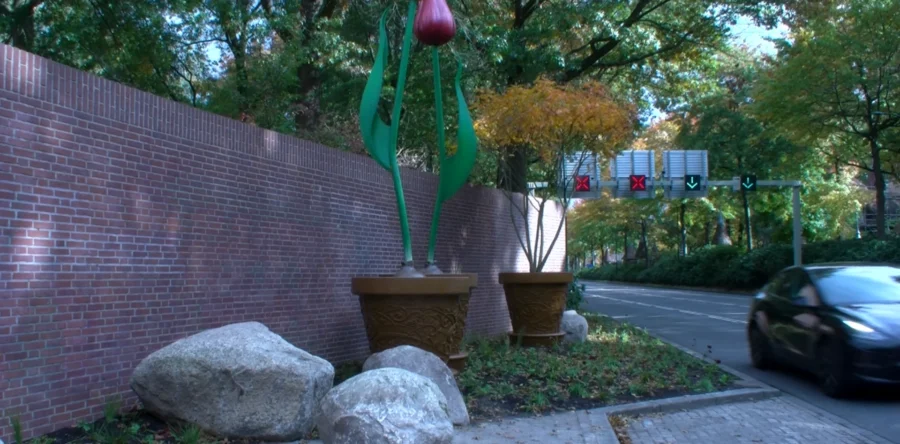 Europalaan heeft sprookjesachtige make-over gekregen (video)