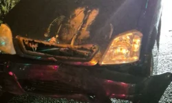 Politie Waalwijk heeft handen vol aan twee opvallende incidenten