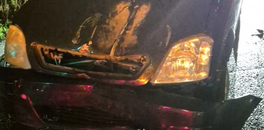 Politie Waalwijk heeft handen vol aan twee opvallende incidenten