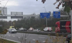 Auto slaat over de kop en belandt in berm op Midden-Brabantweg