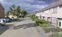 Delphinus in Loon op Zand bloeit dankzij vijf nieuwe geveltuintjes