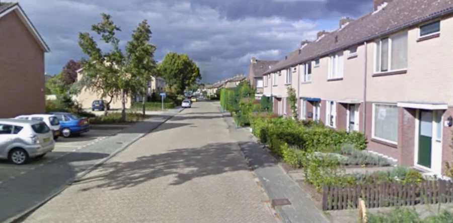 Delphinus in Loon op Zand bloeit dankzij vijf nieuwe geveltuintjes