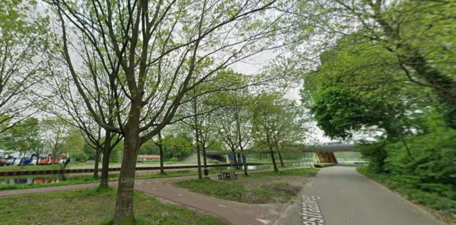 Gemeente Dongen gaat in november meerdere bomen kappen