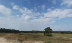 Vrouw raakt gewond tijdens wandeling bij de Roestelberg Kaatsheuvel