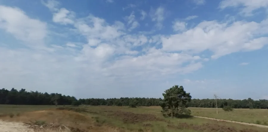 Vrouw raakt gewond tijdens wandeling bij de Roestelberg Kaatsheuvel