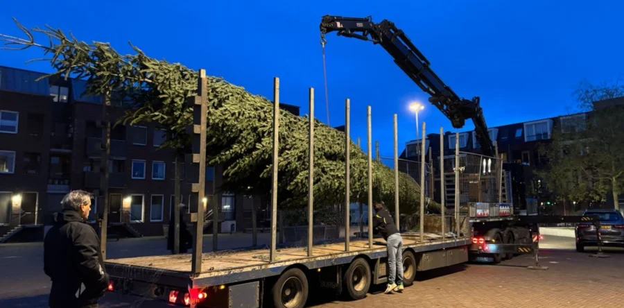 Echte kerstboom prijkt opnieuw op Anton Pieckplein Kaatsheuvel