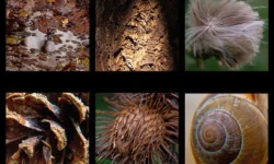 Gratis presentatie Fotolab in Kunstencentrum