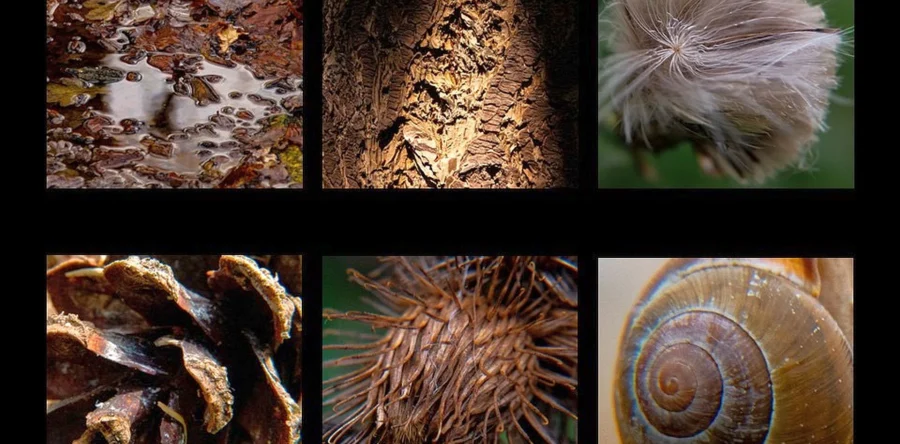 Gratis presentatie Fotolab in Kunstencentrum