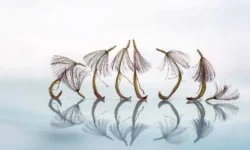 Bijzondere natuurfotografie in het Huis van Waalwijk