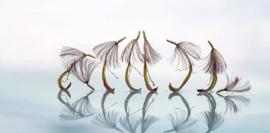 Bijzondere natuurfotografie in het Huis van Waalwijk