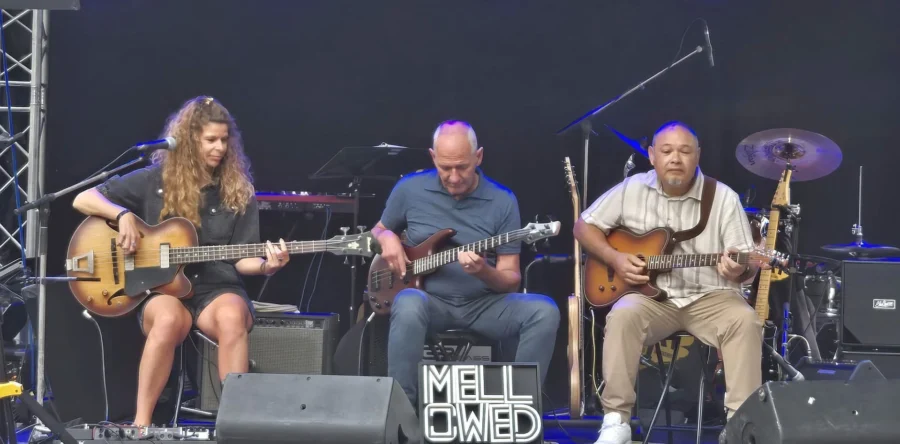 Mellowed brengt sfeervol kerstconcert in het Parkpaviljoen