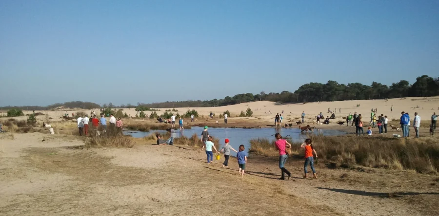 Recreatie vs natuurbehoud: dilemma in de Loonse en Drunense duinen