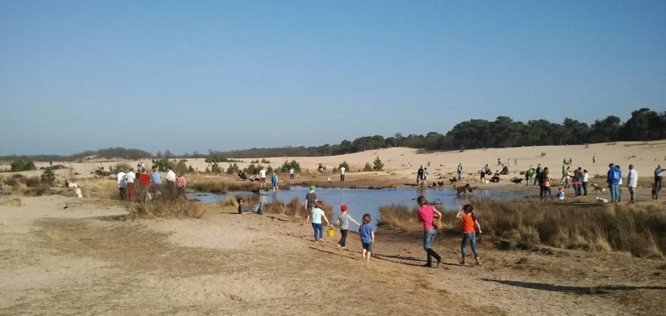 Recreatie vs natuurbehoud: dilemma in de Loonse en Drunense duinen