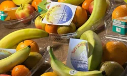 OPROEP – Fruitschalen actie CCV Schoenlapperslaand