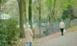 Heusden Eén stelt vragen over plots verdwijnen dierenweide Nieuwkuijk