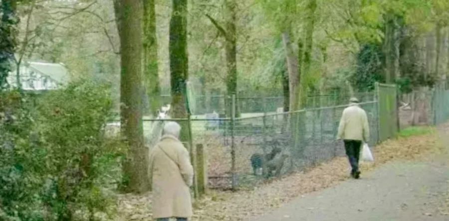 Heusden Eén stelt vragen over plots verdwijnen dierenweide Nieuwkuijk