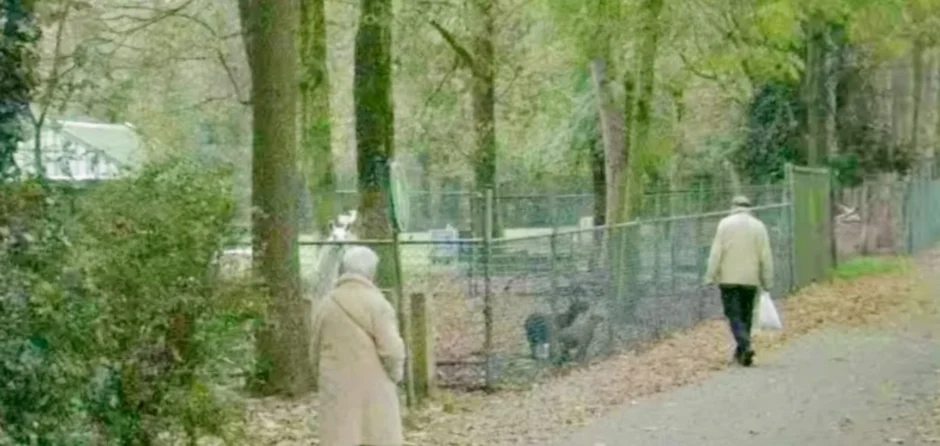 Gemeente Heusden geeft uitleg over verwijderen Dierenweide Nieuwkuijk