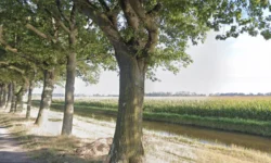 Bestuurder zoek na de vonst van auto in sloot Dongen