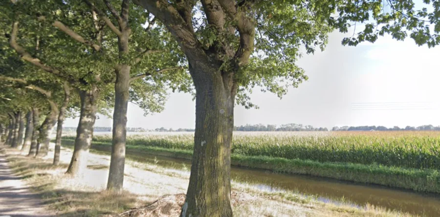 Bestuurder zoek na de vonst van auto in sloot Dongen