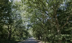 Trimbos in Dongen krijgt flinke opknapbeurt